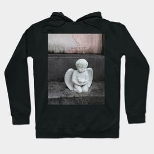 In Our Hearts Hoodie